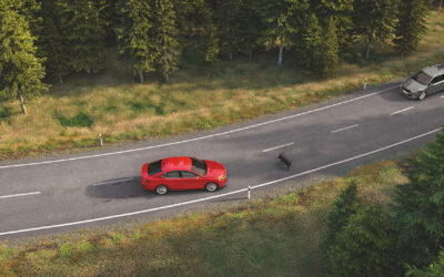 System EDR („czarna skrzynka”) w nowoczesnych samochodach – co to jest, jak działa i dlaczego budzi tyle emocji?