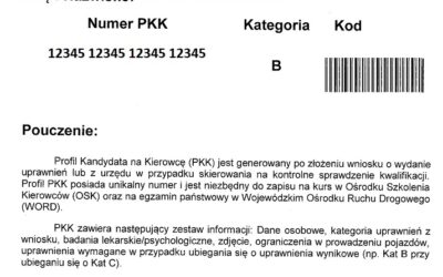 PKZ vs PKK – czym się różnią?