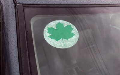 Czy nowe przepisy wymagają od świeżego kierowcy naklejki z zielonym listkiem?