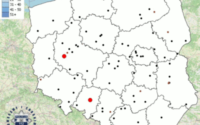 Wakacyjna mapa wypadków Policji – dlaczego latem dochodzi do największej liczby wypadków?